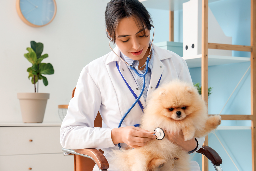 Flexible Veterinary Jobs