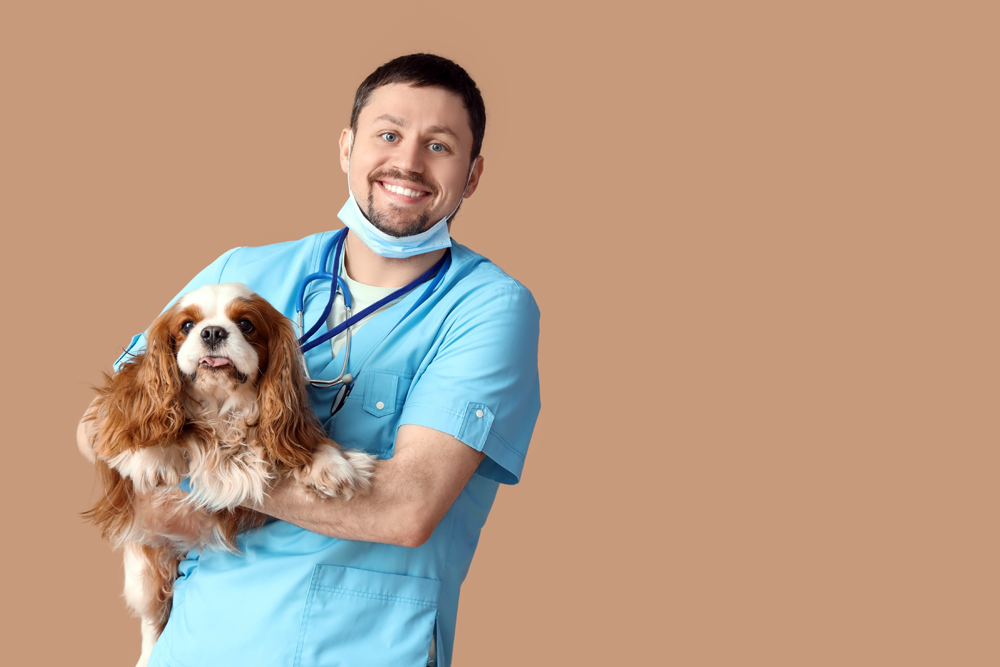How to Recruit Relief Veterinarians