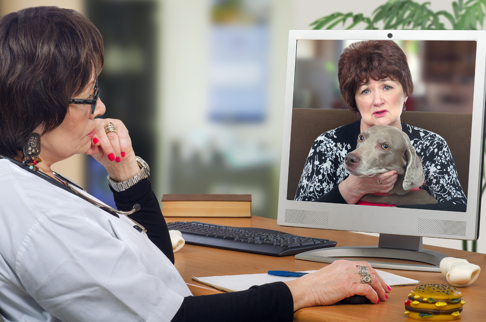 Relief Veterinarians and Telemedicine