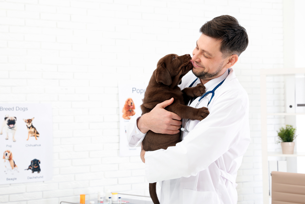 Veterinarian Relief Services
