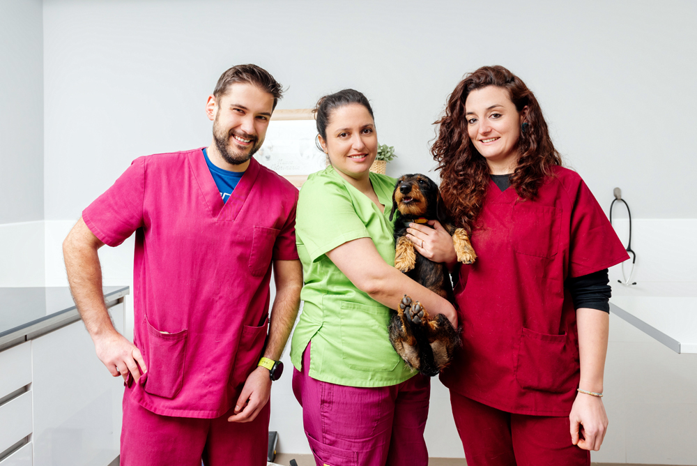 Veterinary Relief Services